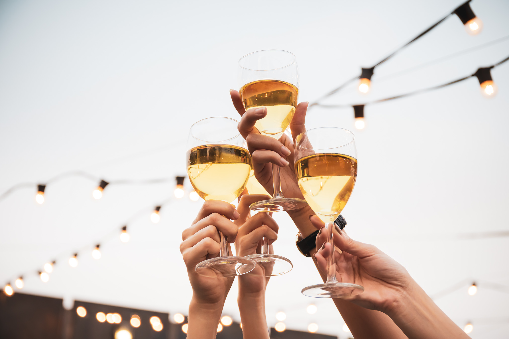 Weinwanderungen in und um Mainz
